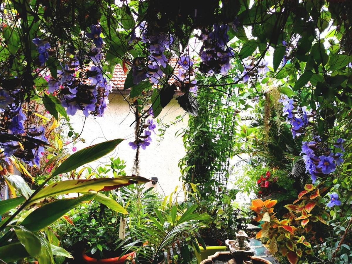 Romantic Casa Lorenzina Affittacamere Ventimiglia Exteriör bild