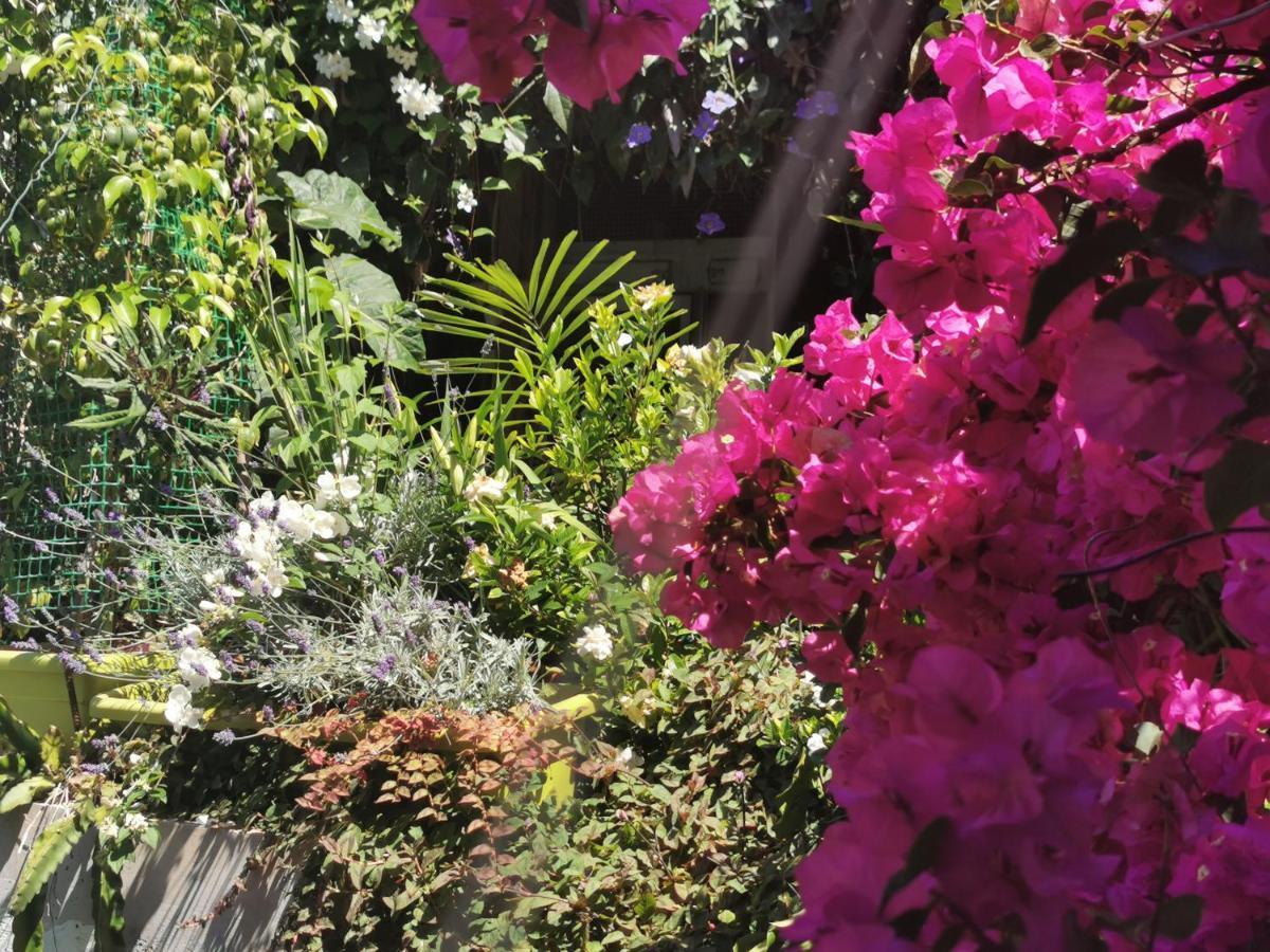Romantic Casa Lorenzina Affittacamere Ventimiglia Exteriör bild