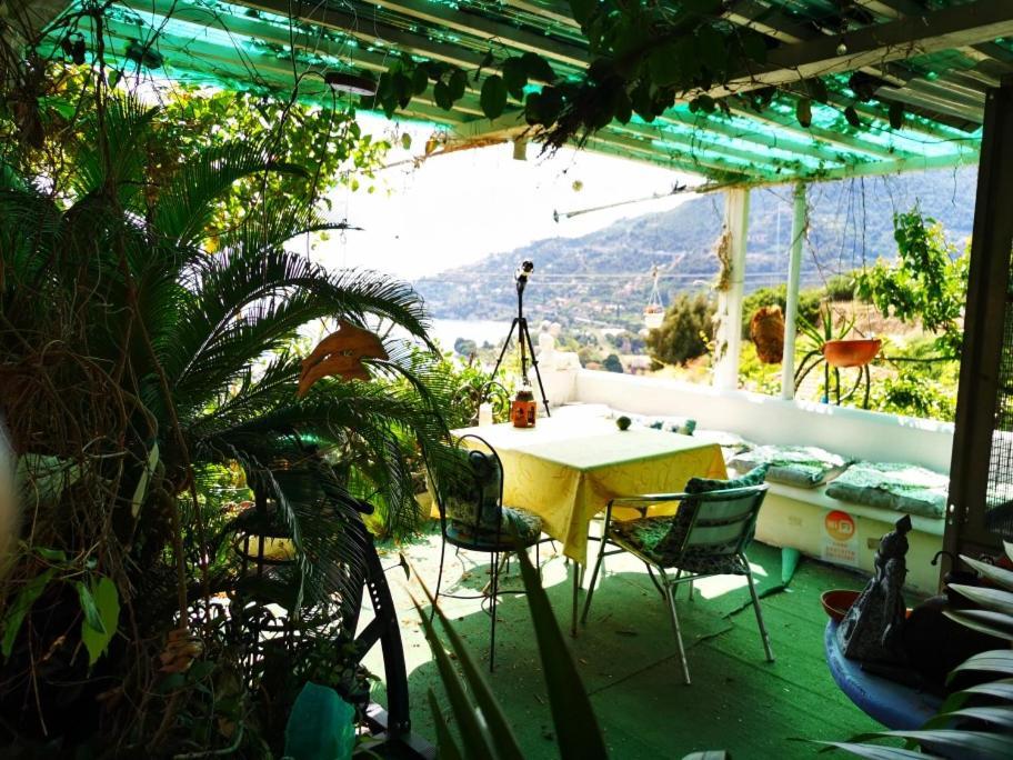 Romantic Casa Lorenzina Affittacamere Ventimiglia Exteriör bild