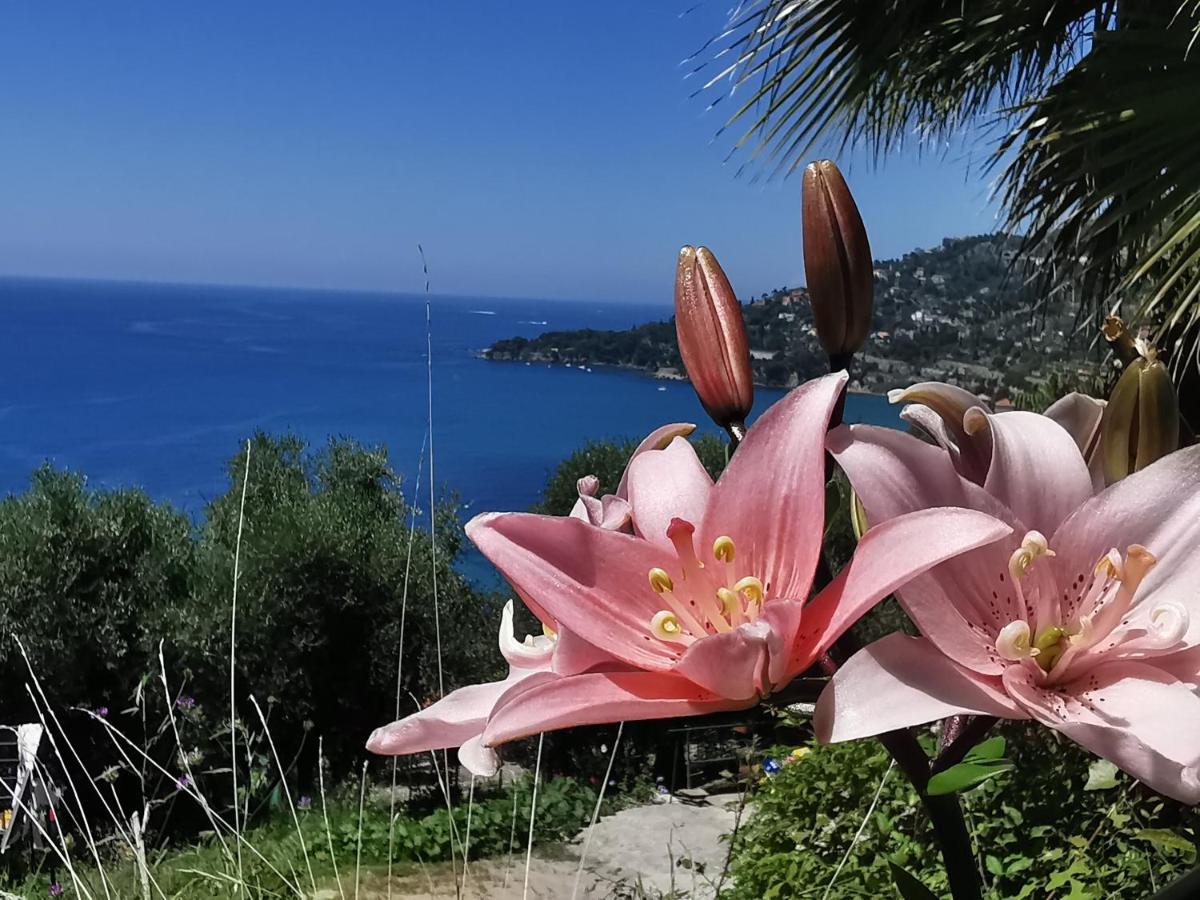 Romantic Casa Lorenzina Affittacamere Ventimiglia Exteriör bild