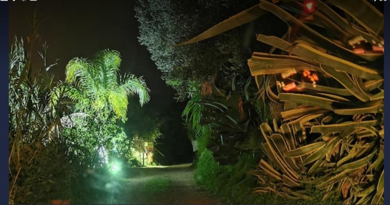 Romantic Casa Lorenzina Affittacamere Ventimiglia Exteriör bild