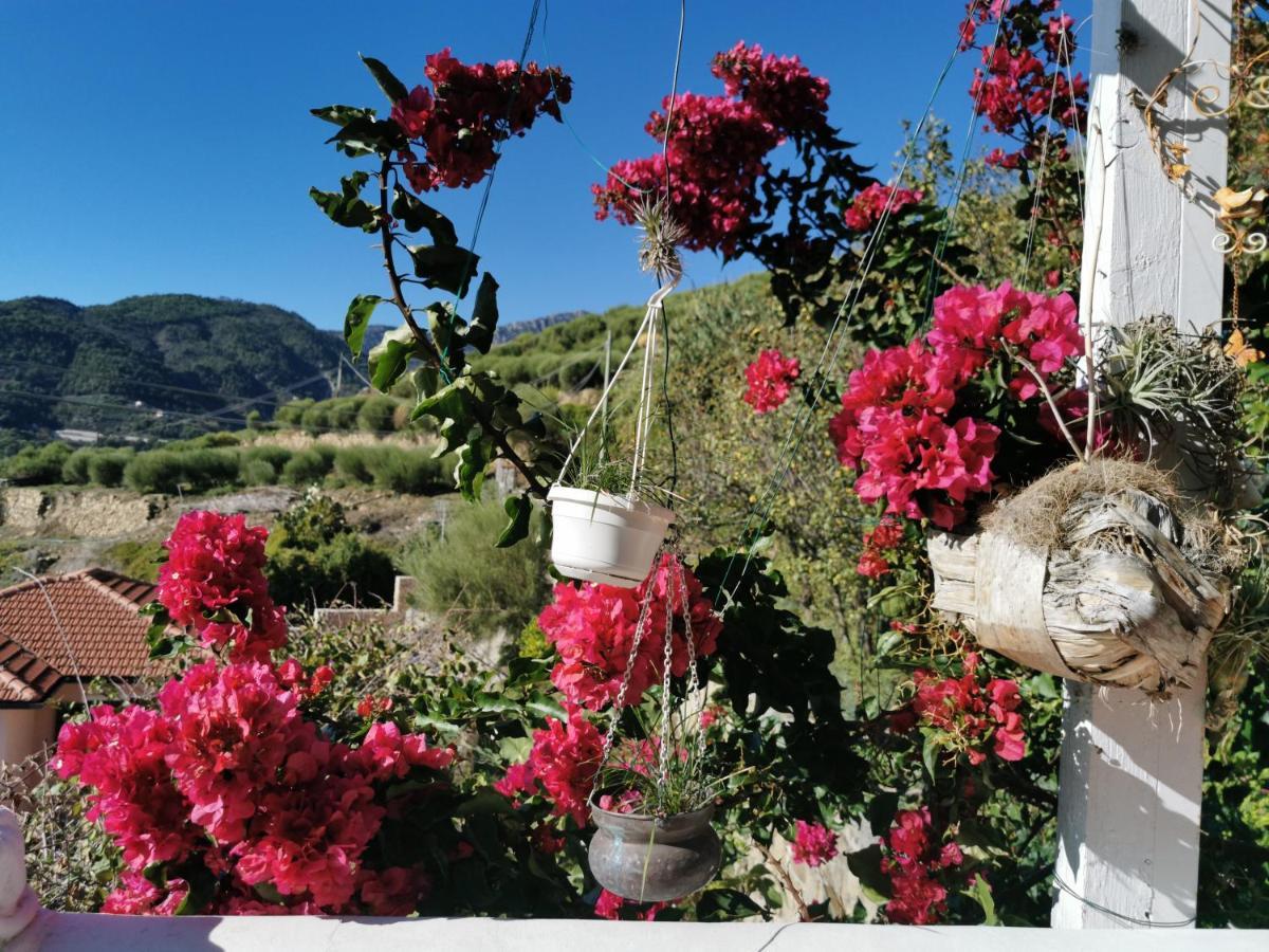 Romantic Casa Lorenzina Affittacamere Ventimiglia Exteriör bild